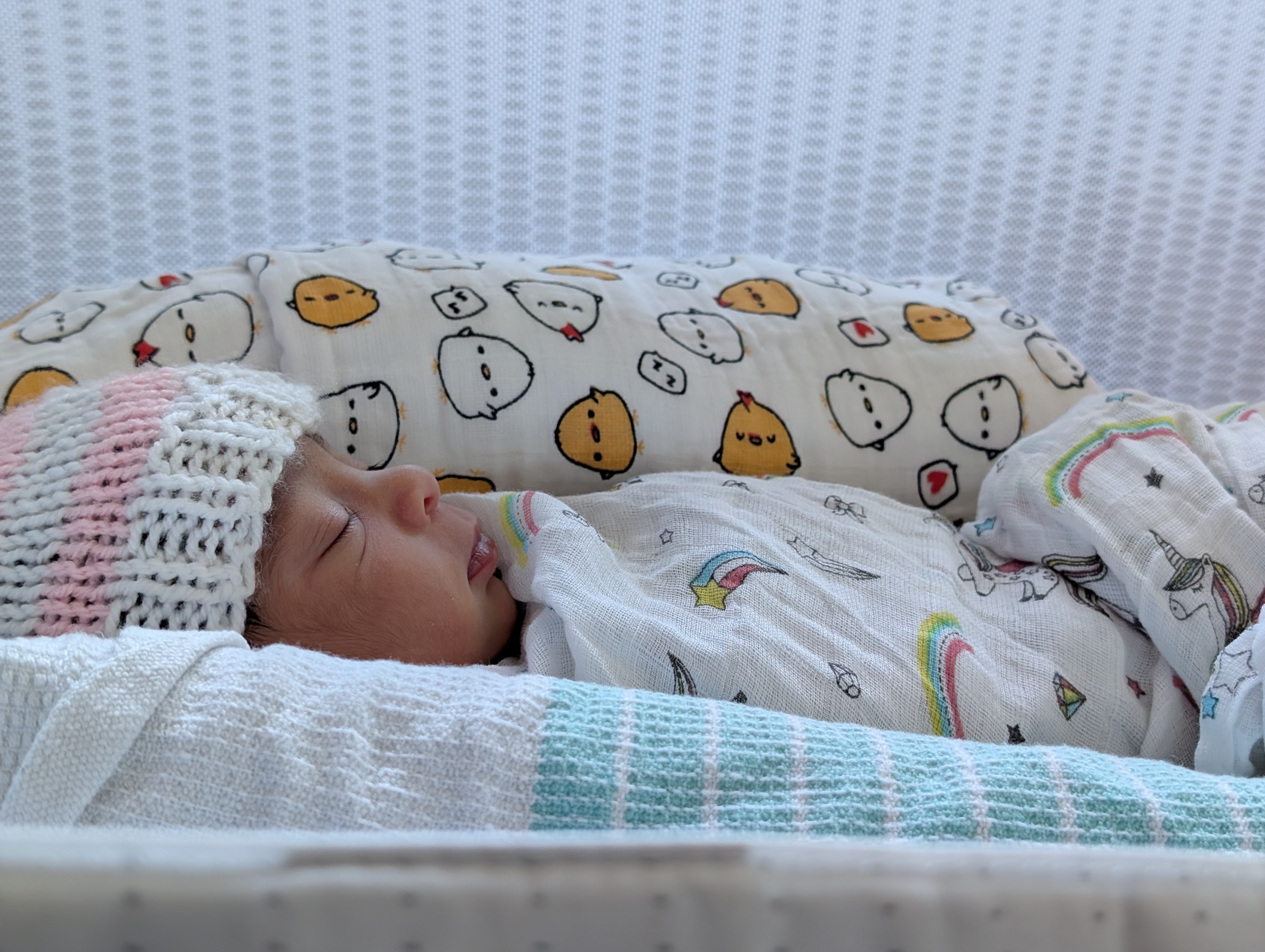 Newborn